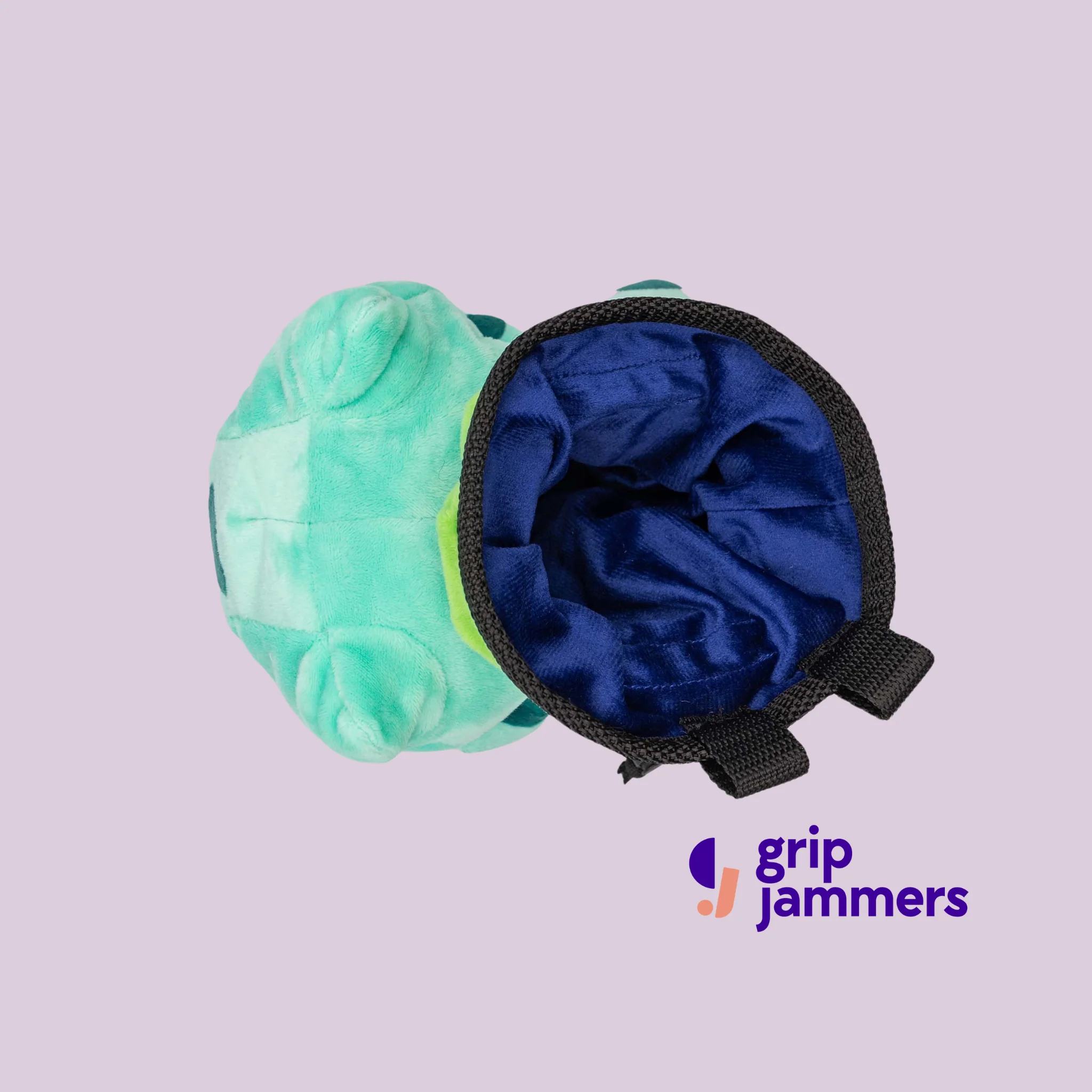 Bulbasaur Chalk Bag - Image 4