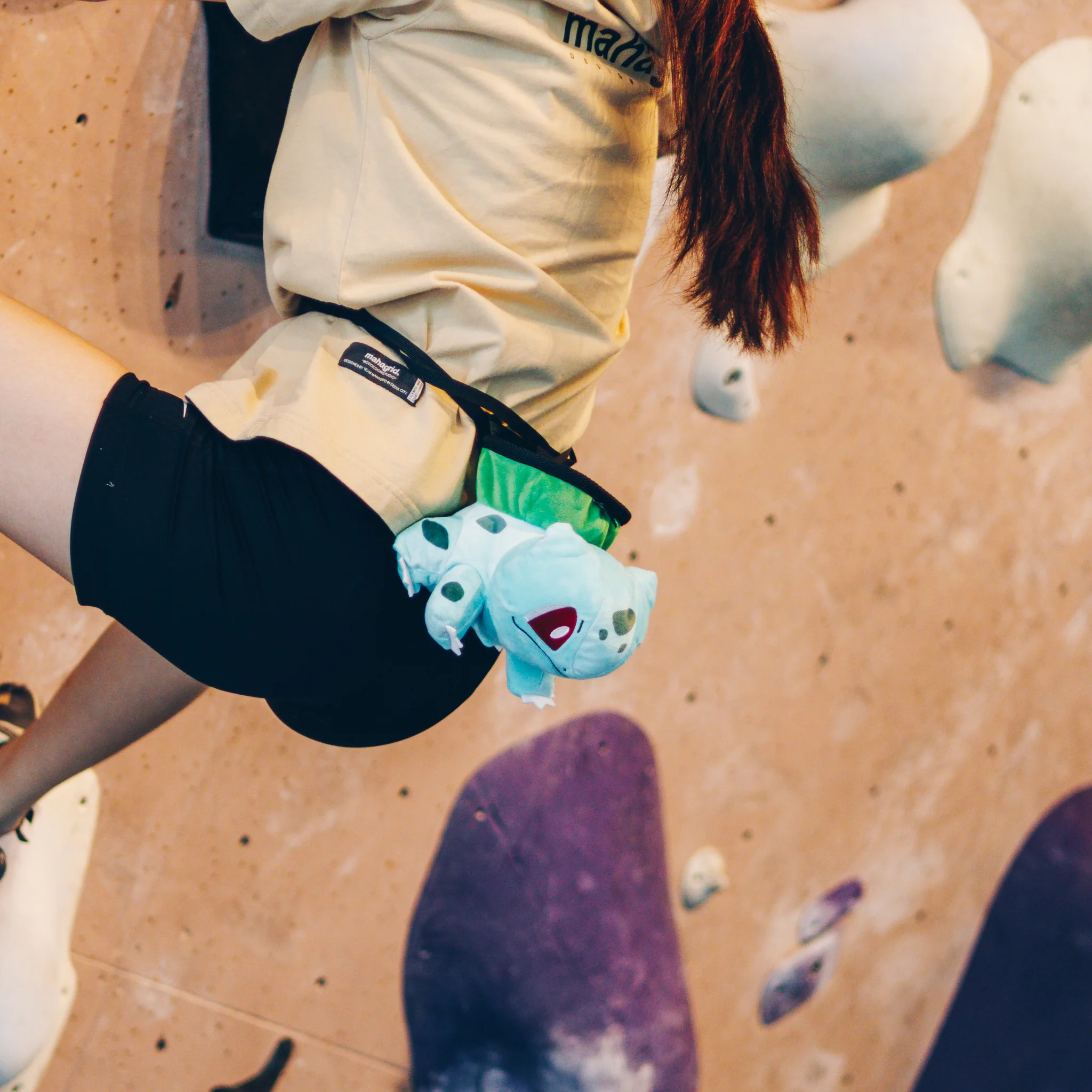 Bulbasaur Chalk Bag - Image 5