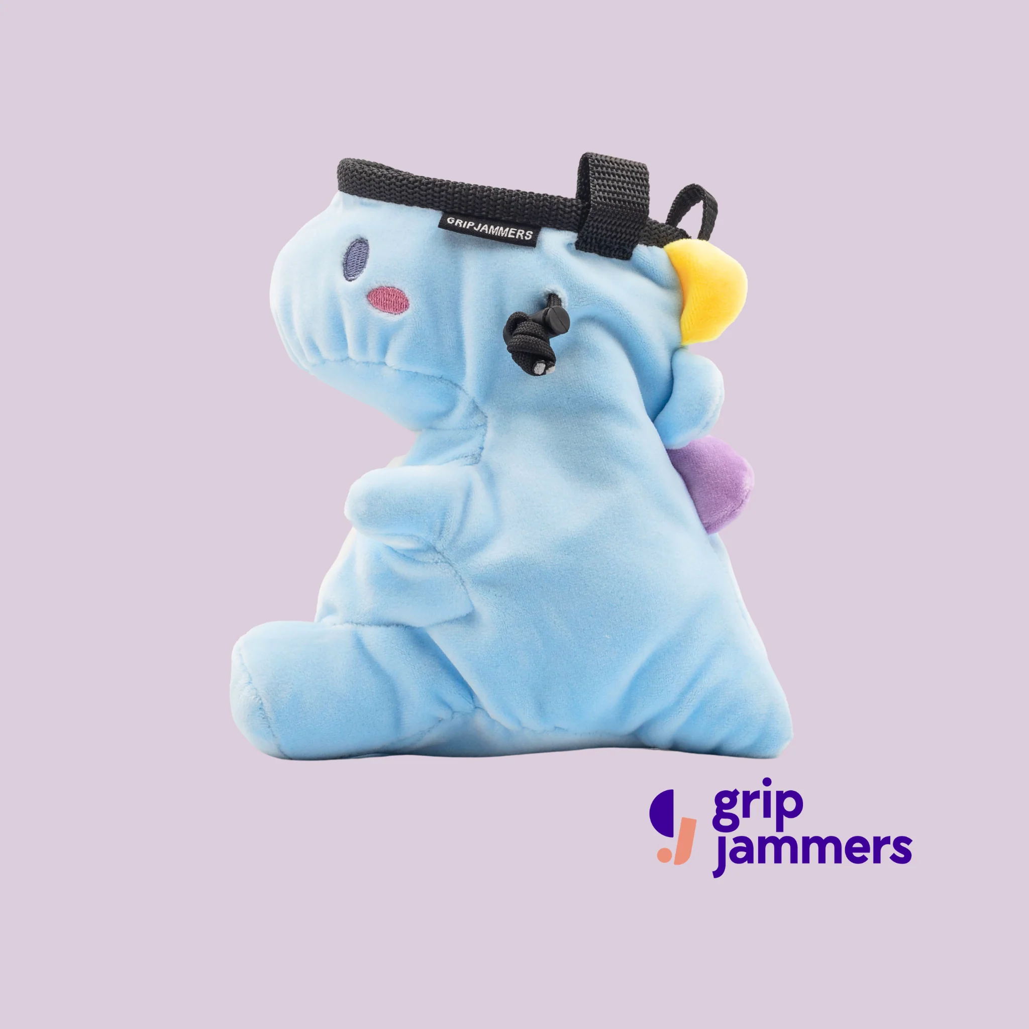 Dani the Dino Chalk Bag - Image 3