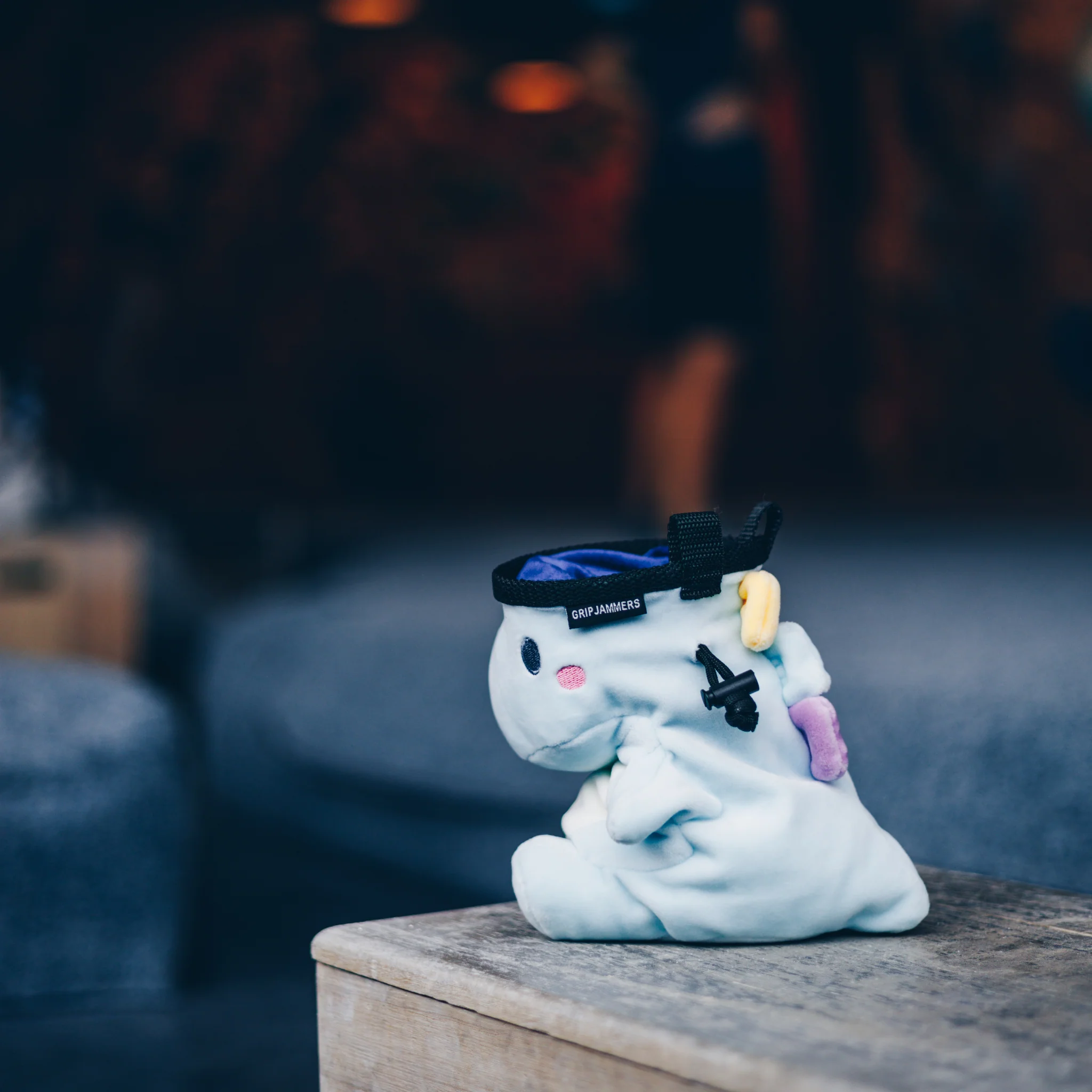 Dani the Dino Chalk Bag - Image 4