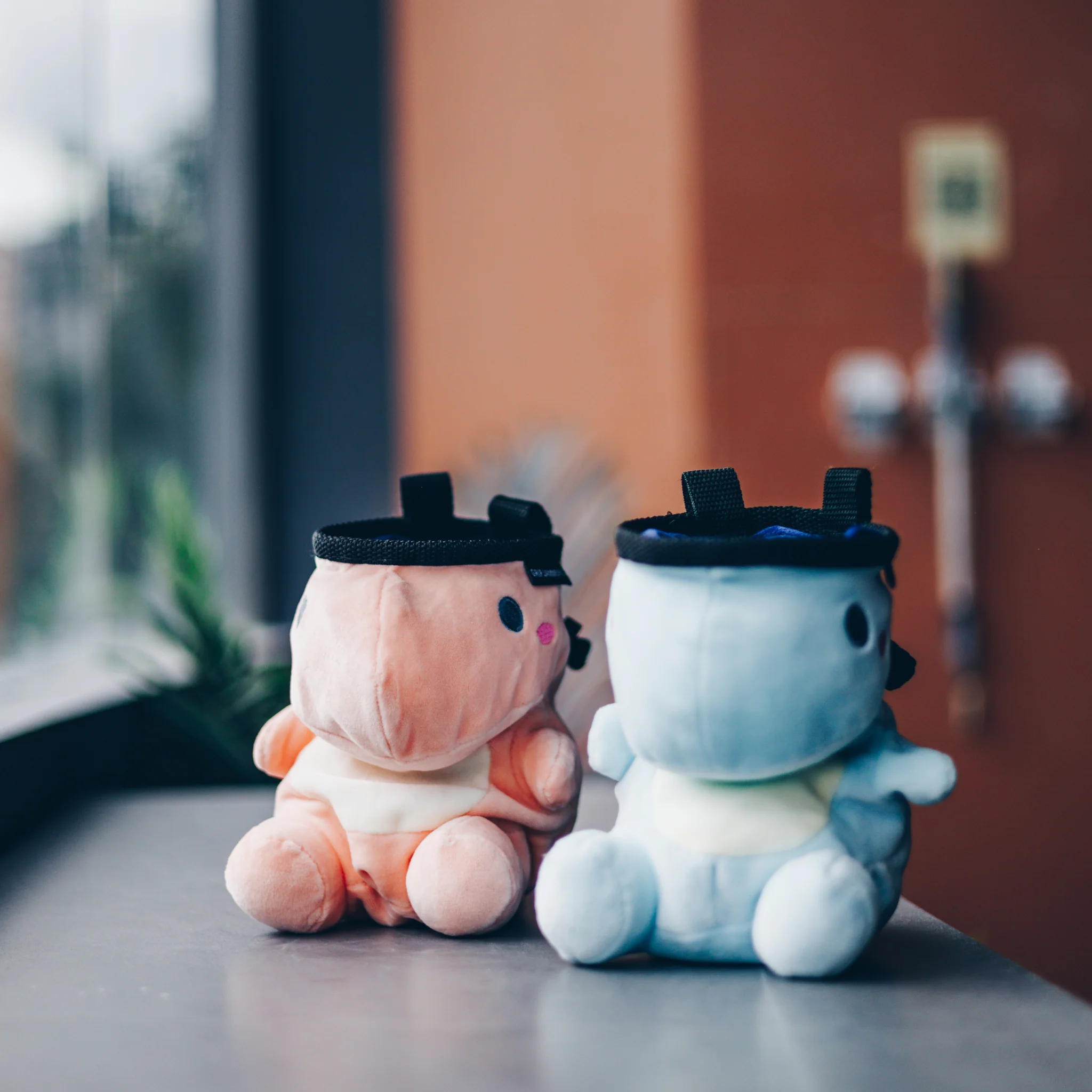 Dani the Dino Chalk Bag - Image 5