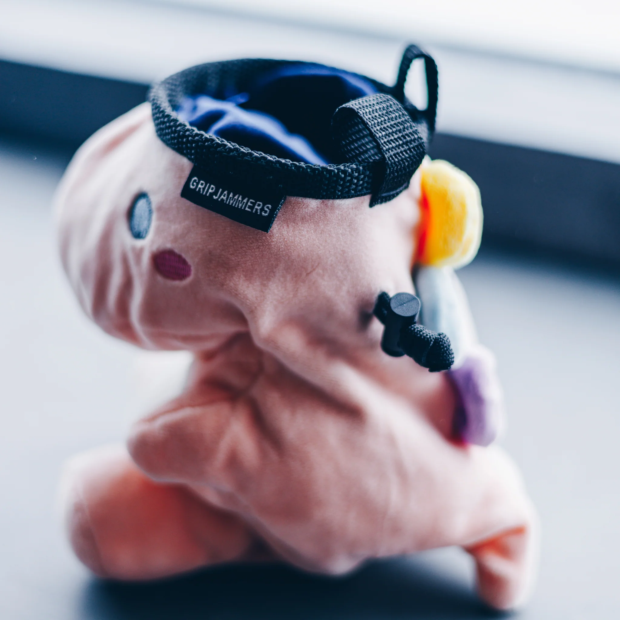 Danielle the Dino Chalk Bag - Image 5